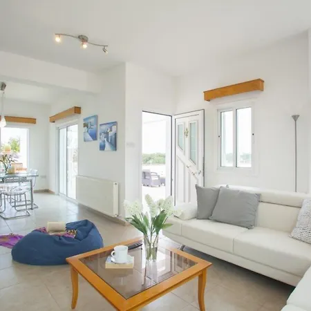 Villa Imagine Renting A With Very Large Pool Protaras 98