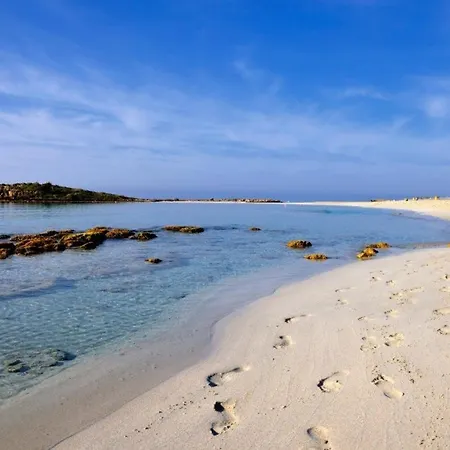 Imagine Renting A With Very Large Pool Protaras 98 Villa *